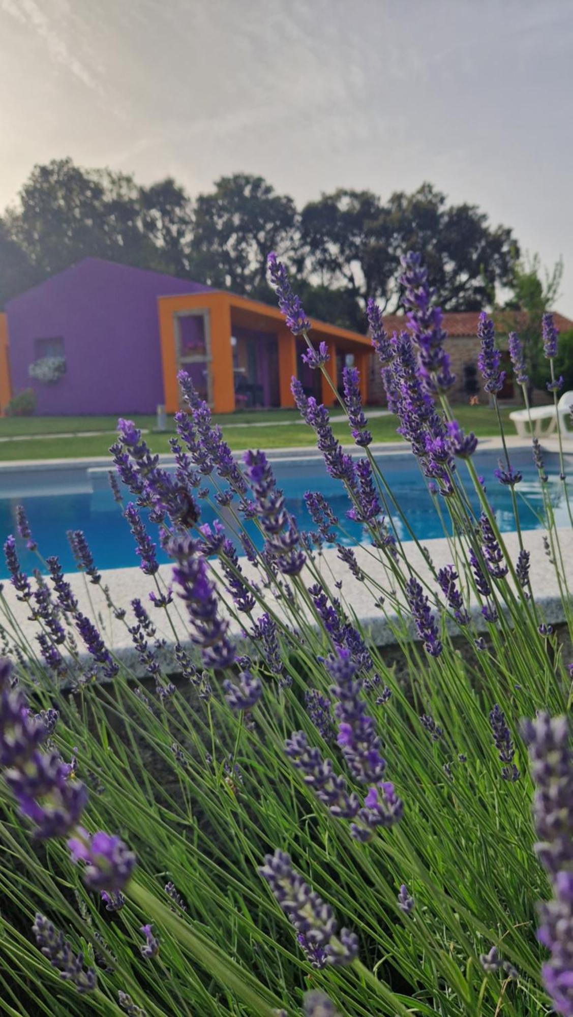Limbara Dreaming Hotell Tempio Pausania Eksteriør bilde