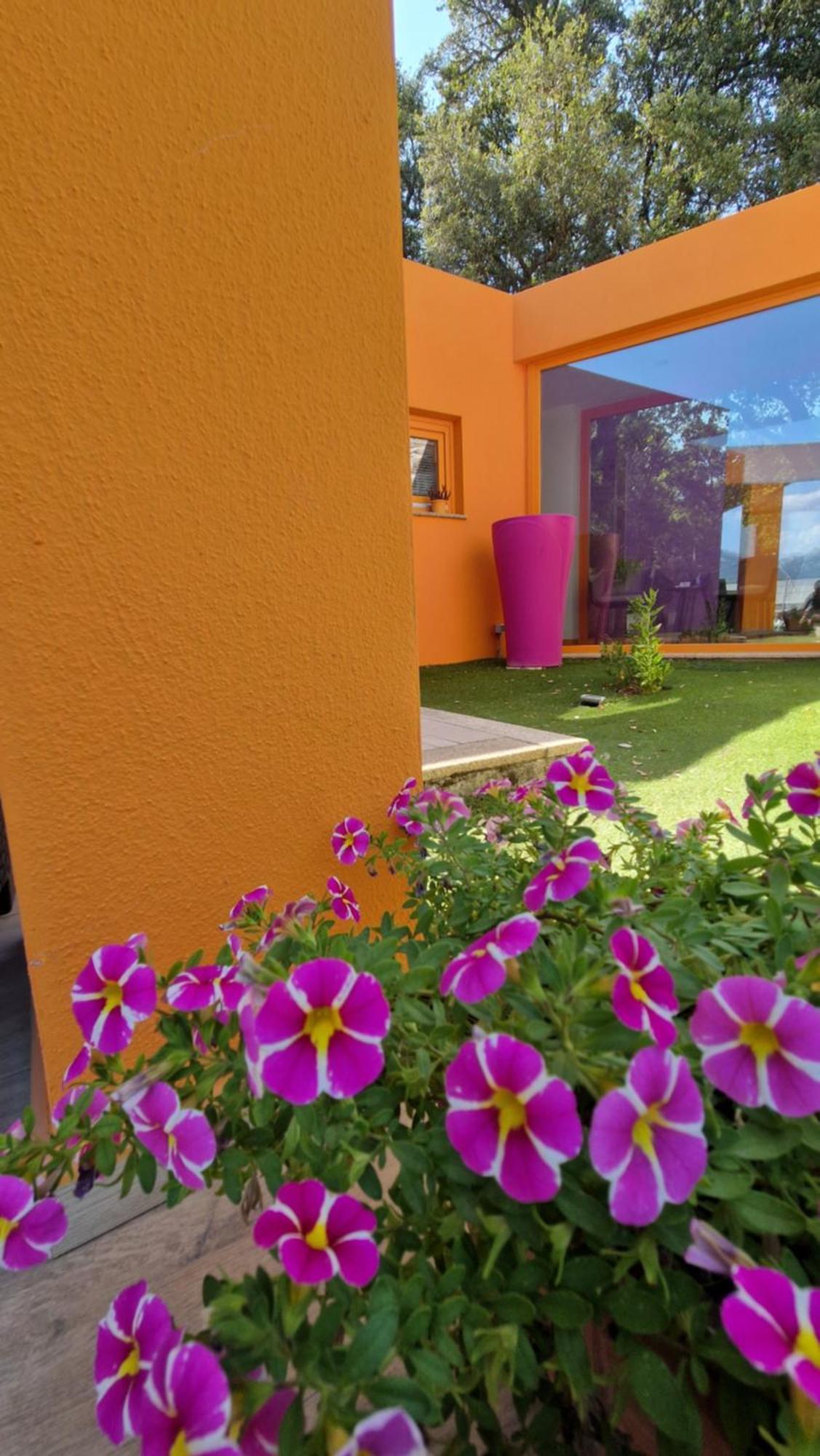 Limbara Dreaming Hotell Tempio Pausania Eksteriør bilde